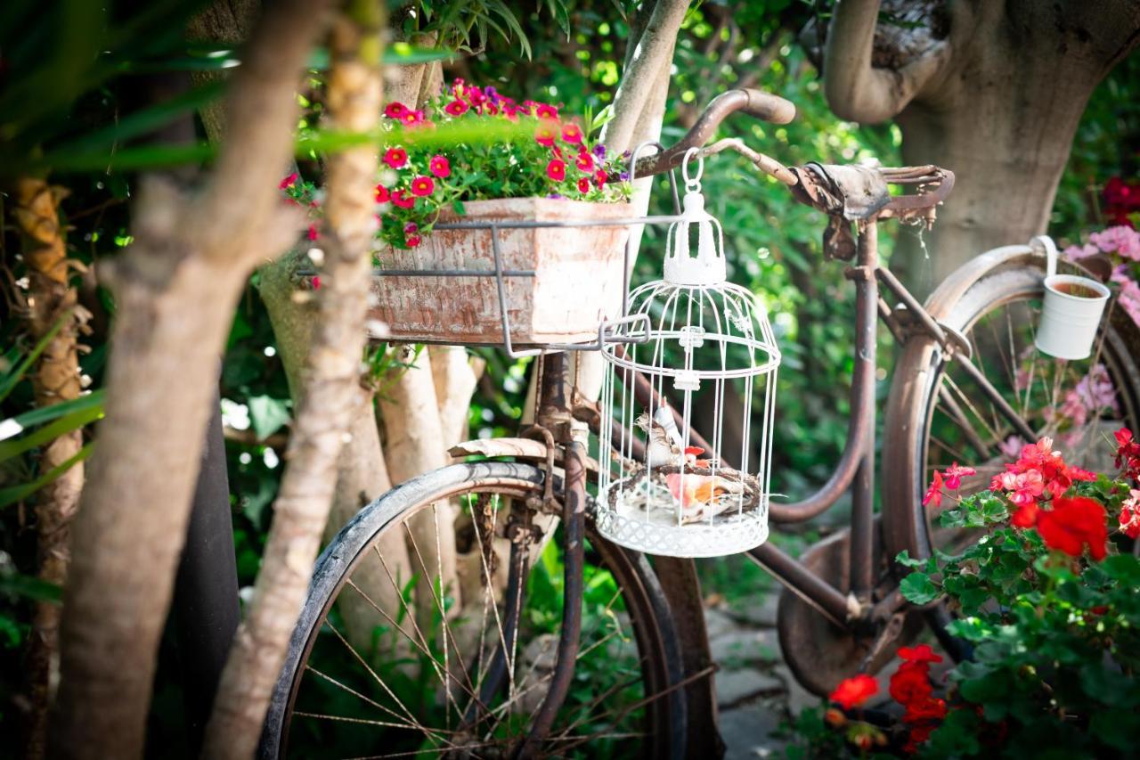 B&B Due Sorelle Sirolo Εξωτερικό φωτογραφία